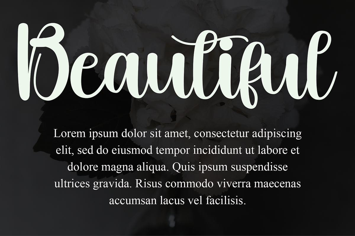 Angista, a Handwritten Font by FreshTypeINK (Photo 8 of 8)