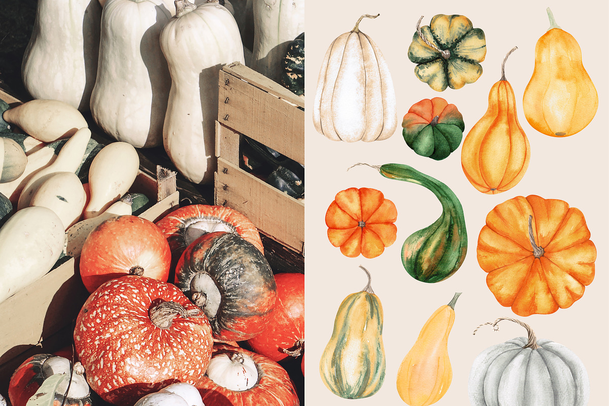 Watercolor vegetables, a Food Illustration by LeriaArt watercolor (Photo 4 of 5)