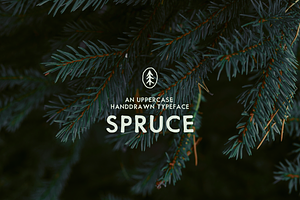 SPRUCE UPPERCASE TYPEFACE