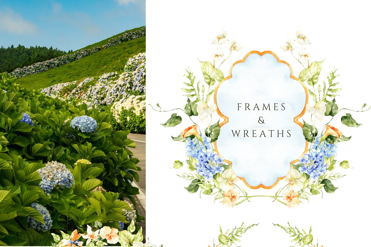 Elegant Wildness: Aesthetic Fine Art, a Decorative Illustration by ArtMaslyana (Photo 6 of 13)