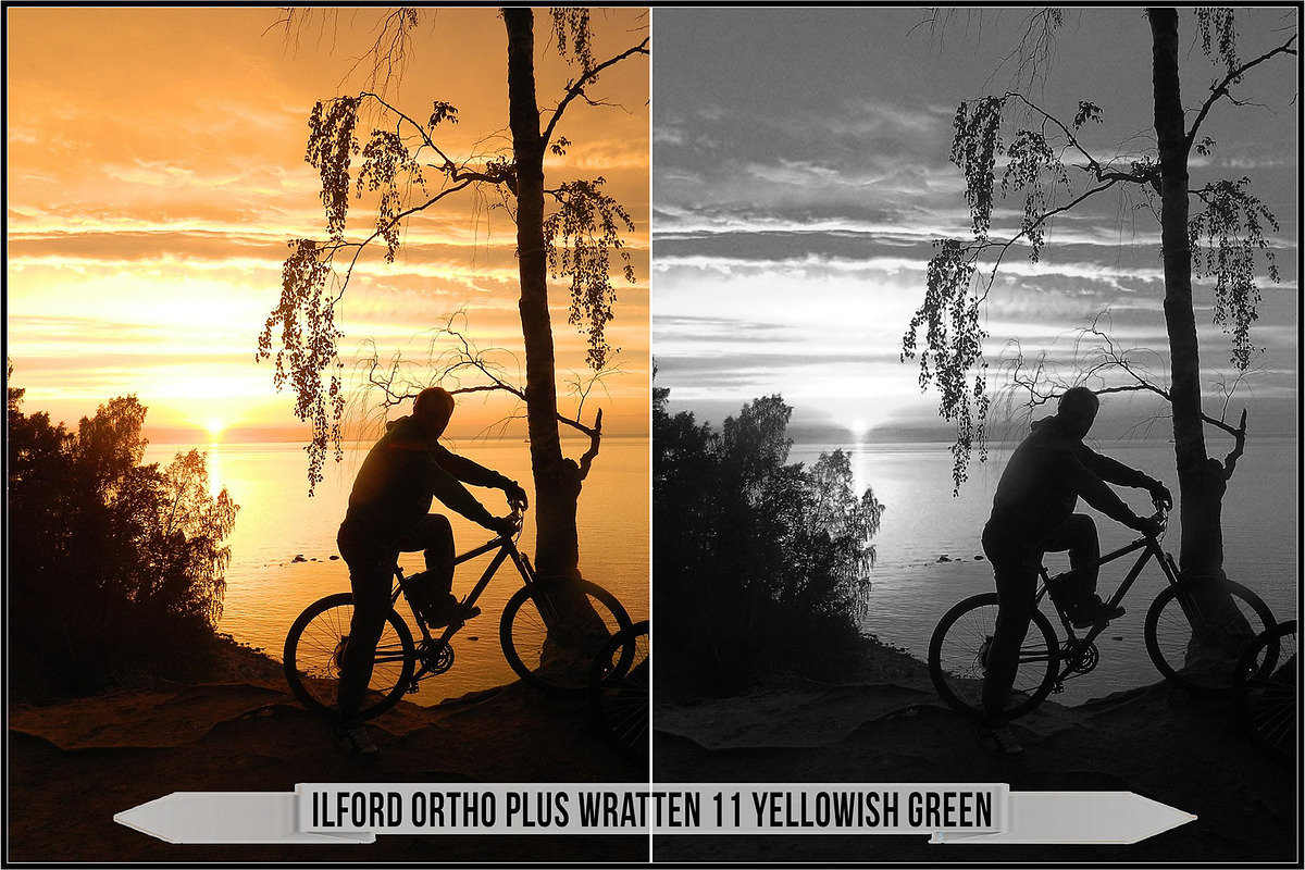 Ilford Films LUTs, a Plug-in Add-On by Raztrend (Photo 24 of 30)