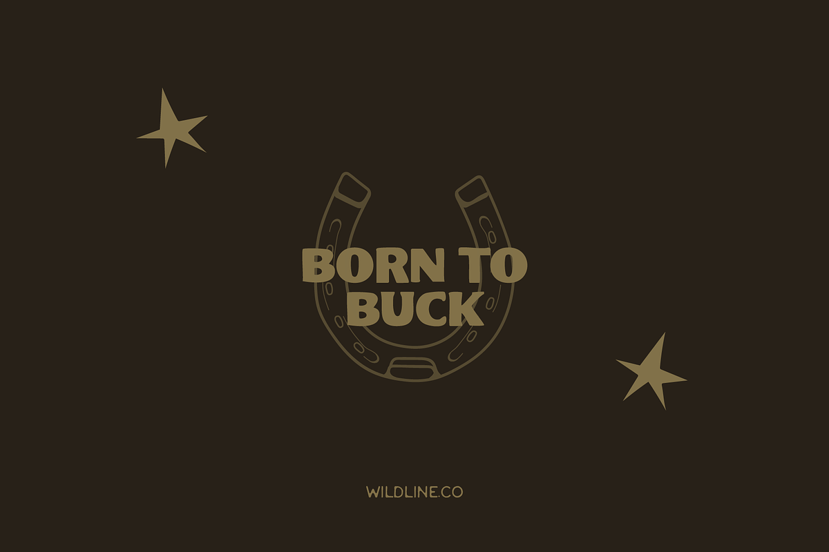 Bronco Serif | A Hand Lettered Serif, a Font by Wildline.Co (Photo 2 of 3)