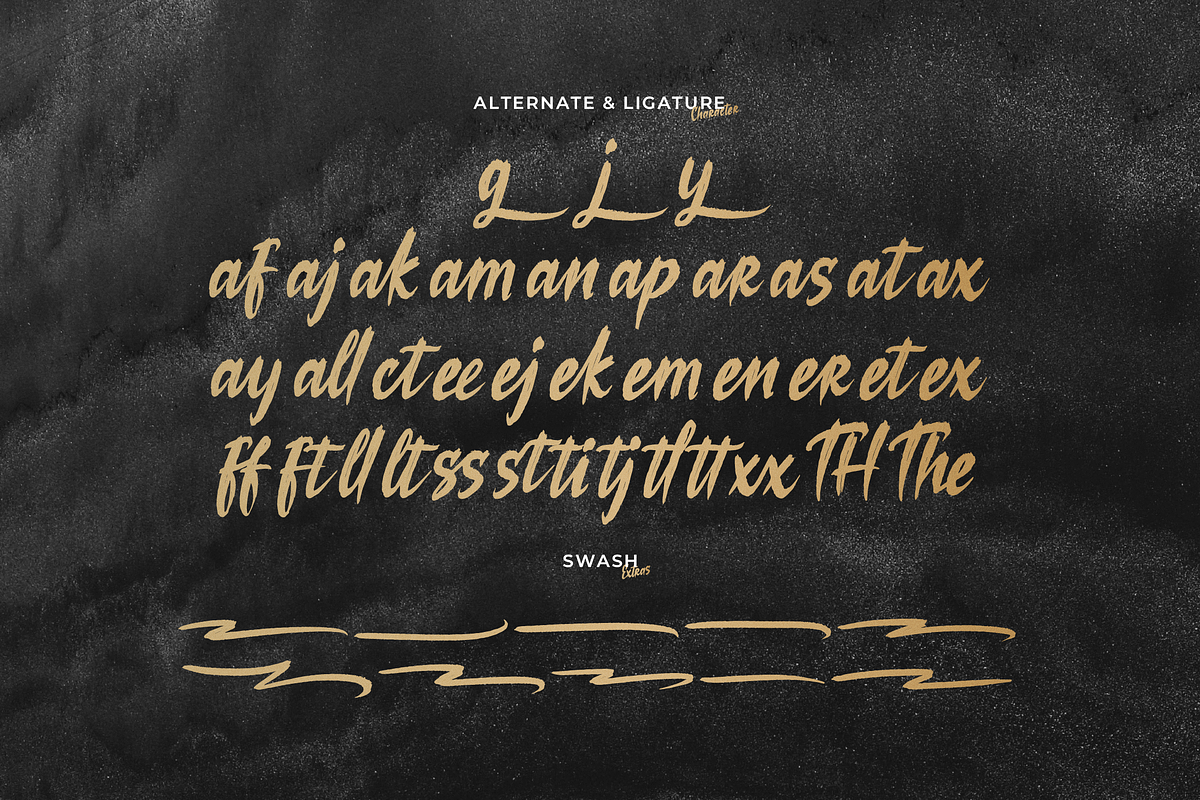 Losiento | Brush Handwritten Font, a Handwritten Font by Denustudios (Photo 15 of 15)