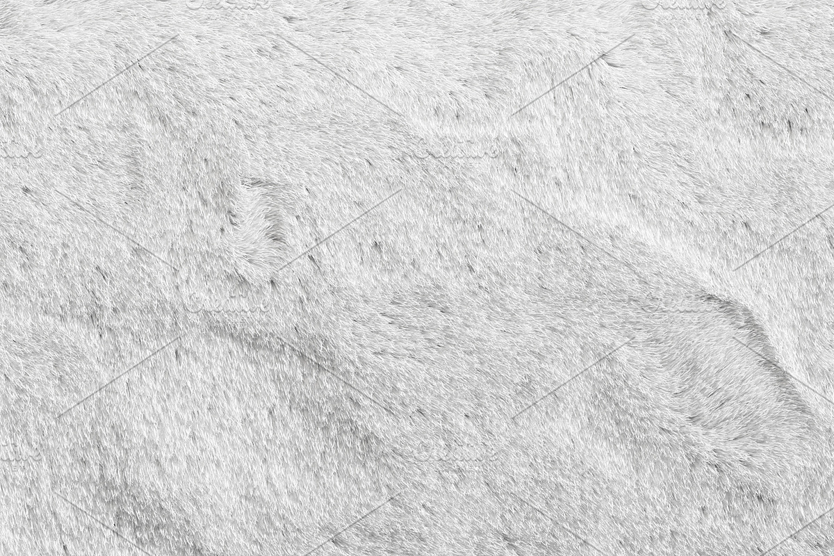 nuLoom Shaggy Area Rug (4 colors), a Furniture 3D Model by 3dmitruk (Photo 6 of 18)