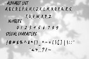 Bread Pitt: Modern Brush Font, a Script Font by GearShift (Thumbnail 6 of 6)