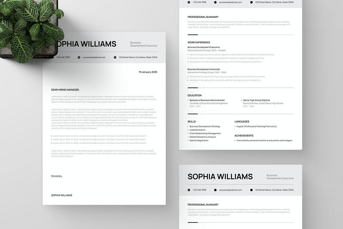 Professional ATS CV Resume, a Resume Template by Annora Studio (Photo 4 of 6)