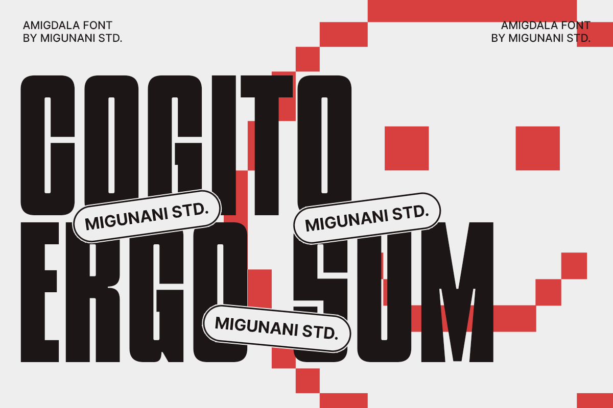 Amigdala Tall Display Font, a Font by Migunani Studio (Photo 3 of 10)
