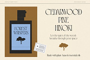 BD PHOSERINÉ | Display Serif, a Serif Font by Brandear Design (Thumbnail 6 of 23)