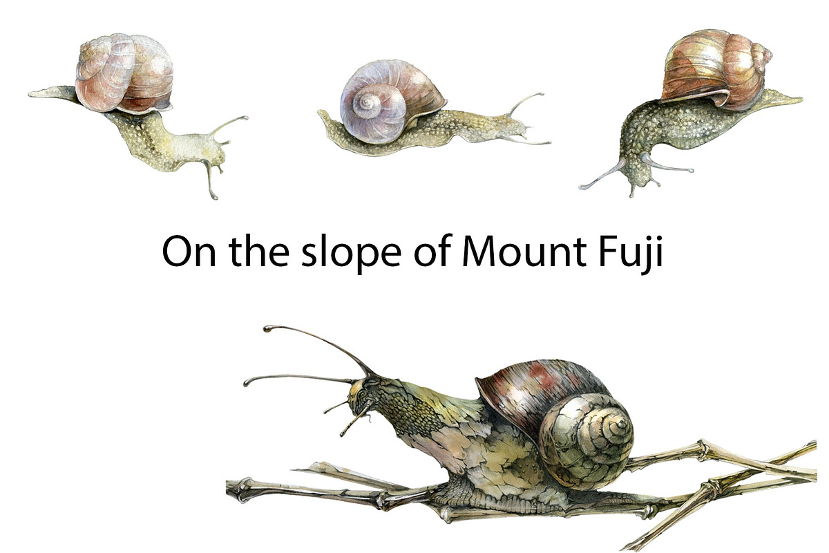 On the slope of Mount Fuji, a Graphic by dm_art