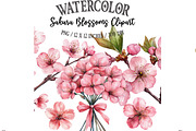 Watercolor Sakura Blossoms Clipart, an Illustration by Designking (Thumbnail 1 of 5)