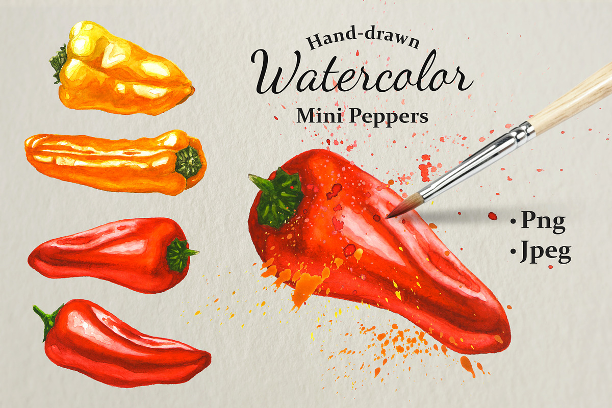 Hand-drawn Watercolor Mini Peppers, a Decorative Illustration by Margo Miller (Photo 1 of 17)