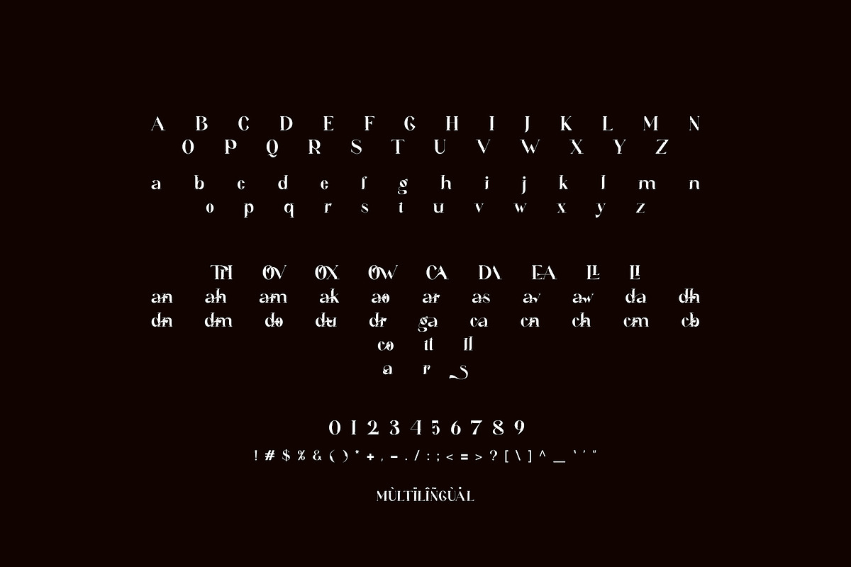 Dottkar Unique Ligature Serif, a Serif Font by Humaira_std (Photo 10 of 10)