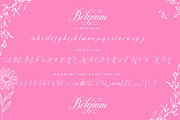Belgium Script, a Script Font by Strong.co (Thumbnail 4 of 7)