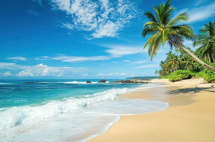 Tropical paradise beach with soft sa, a Photo by Iftikhar Alam