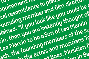 Bonton Display Sans Serif, a Sans Serif Font by PeanutButter Type (Thumbnail 5 of 5)