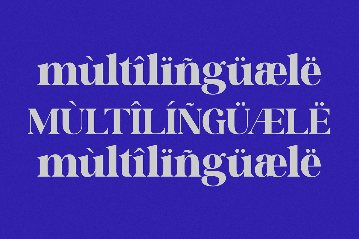 Chamell - Modern Serif Typeface, a Serif Font by Font Kingdom (Photo 2 of 9)