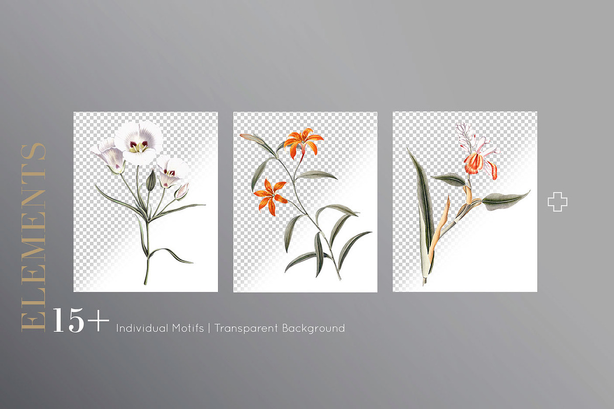 Floral Luxe, Patterns & Motifs!, a Pattern Graphic by Pink Linen (Photo 9 of 9)