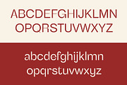 Benetti Grotesk, a Sans Serif Font by Craft Supply Co. (Thumbnail 7 of 8)