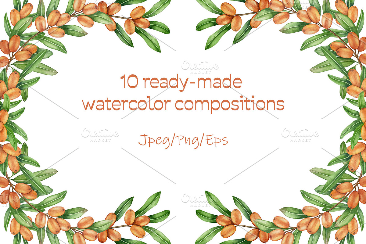 Sea Buckthorn Watercolor Clipart, a Food Illustration by Milla_Zelenyuk_art (Photo 3 of 4)