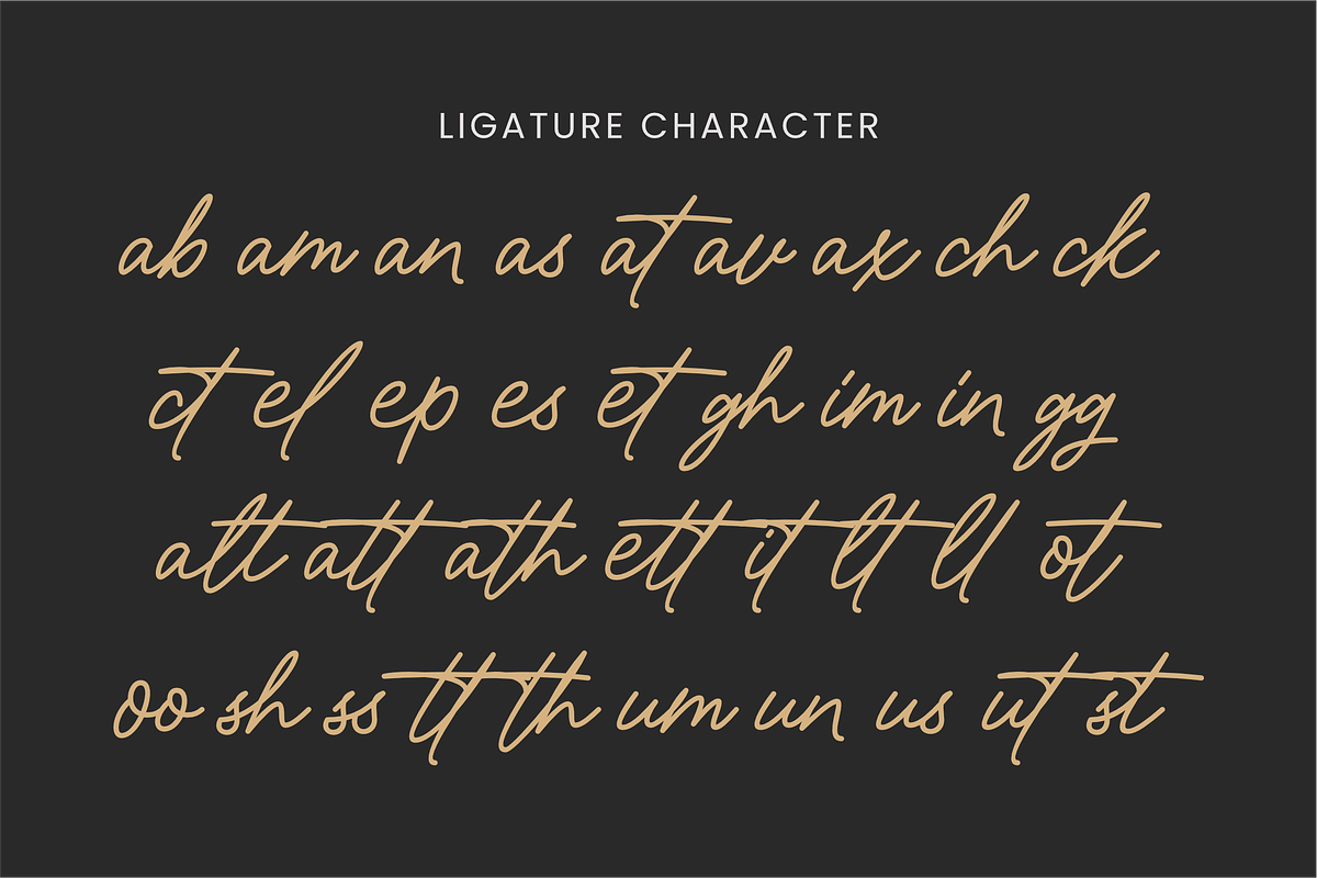 Signamarkova, a Handwritten Font by ahweproject (Photo 14 of 16)