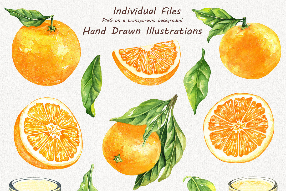Oranges Watercolor Clipart, a Food Illustration by BarvArt (Photo 2 of 6)