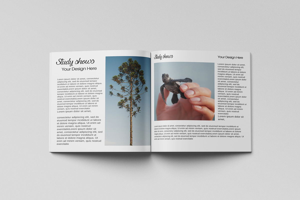 Square Magazine Mockup, a Print Template by Difa Design (Photo 2 of 5)