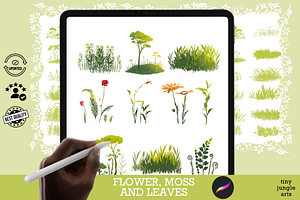 Nature Moss, Grass, Foliage Brushes