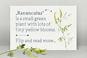 Radka: handmade font family + extras, a Serif Font by Vitek Graphic (Thumbnail 2 of 5)