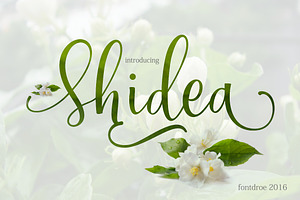 Shidea