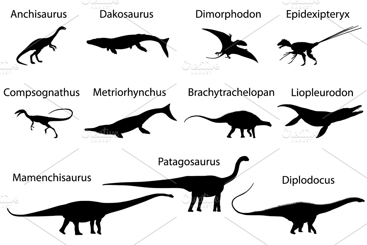 Dinosaurs of jurassic period, an Animal Illustration by Viktoria.1703 (Photo 3 of 3)