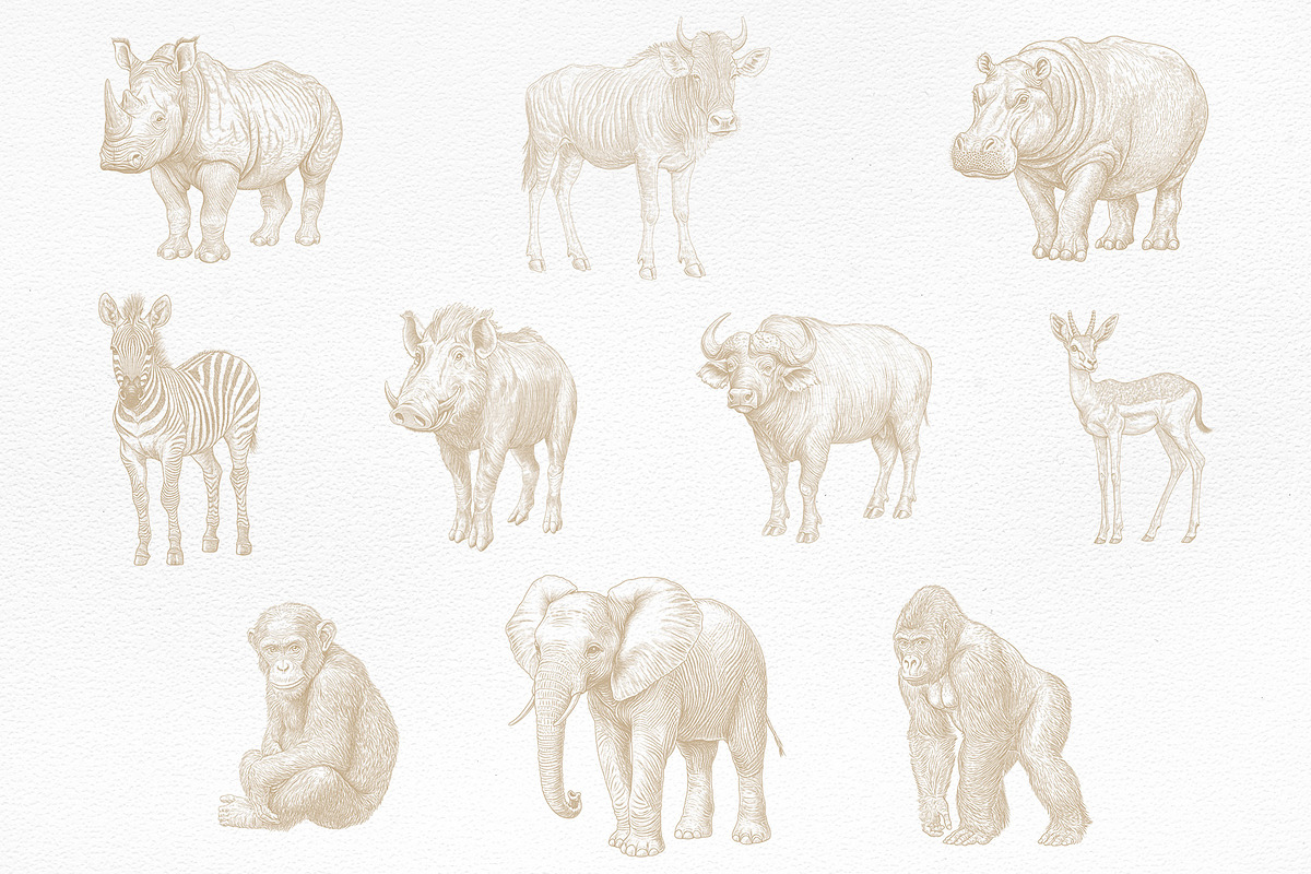 African Safari Animals & Trees Set, an Animal Illustration by NatalieArtShop (Photo 3 of 7)