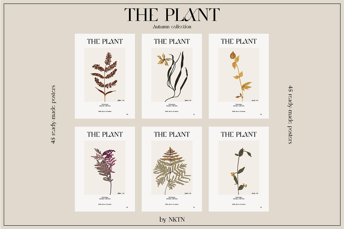 The PLANT. Autumn collection, a Pattern Graphic by NKTN (Photo 13 of 18)