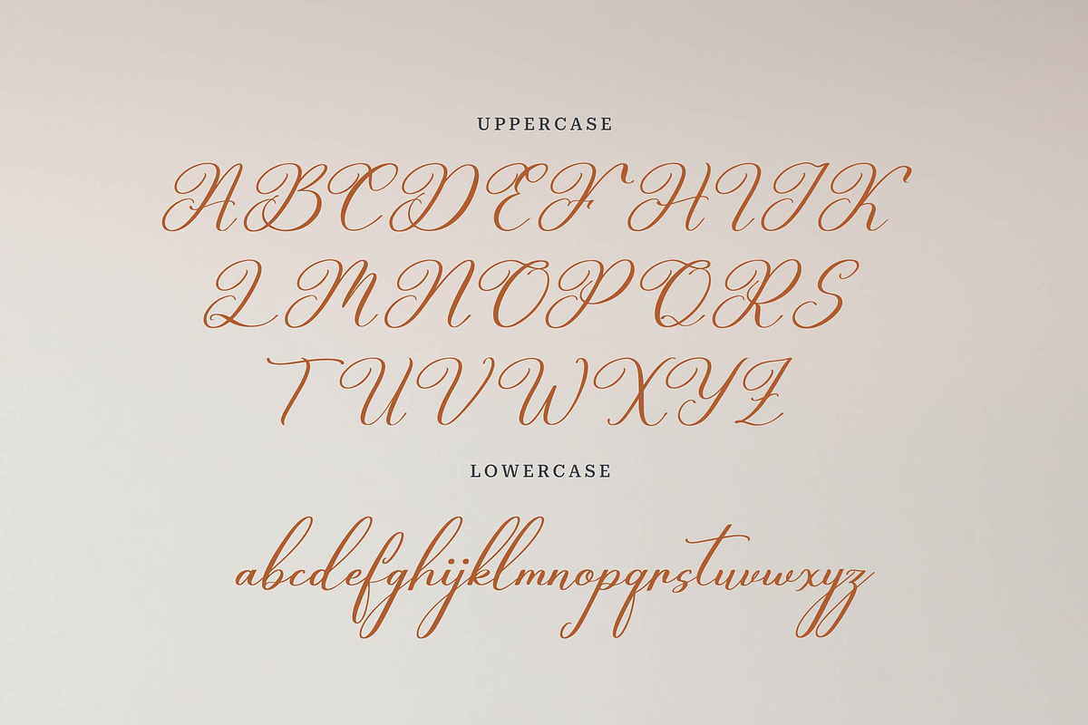 Celtaniya Bioffany Calligraphy, a Script Font by gracetype_studio (Photo 10 of 14)