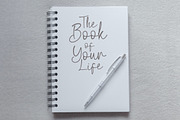 Biegen Stinger - Script Font, a Script Font by NTC Graphic (Thumbnail 6 of 9)