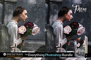 Pro Photoshop Actions Bundle, an Action Add-On by Presetrain Co. (Thumbnail 6 of 13)