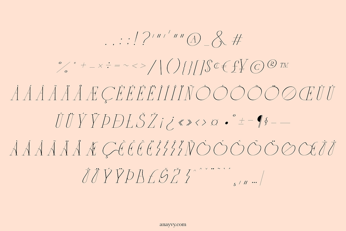CYTRONI Modern Mix Font Duo, a Serif Font by ana & yvy (Photo 31 of 34)