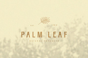 Solvorn | Tall + Quirky Sans Serif, a Sans Serif Font by Blythe Green (Thumbnail 2 of 6)