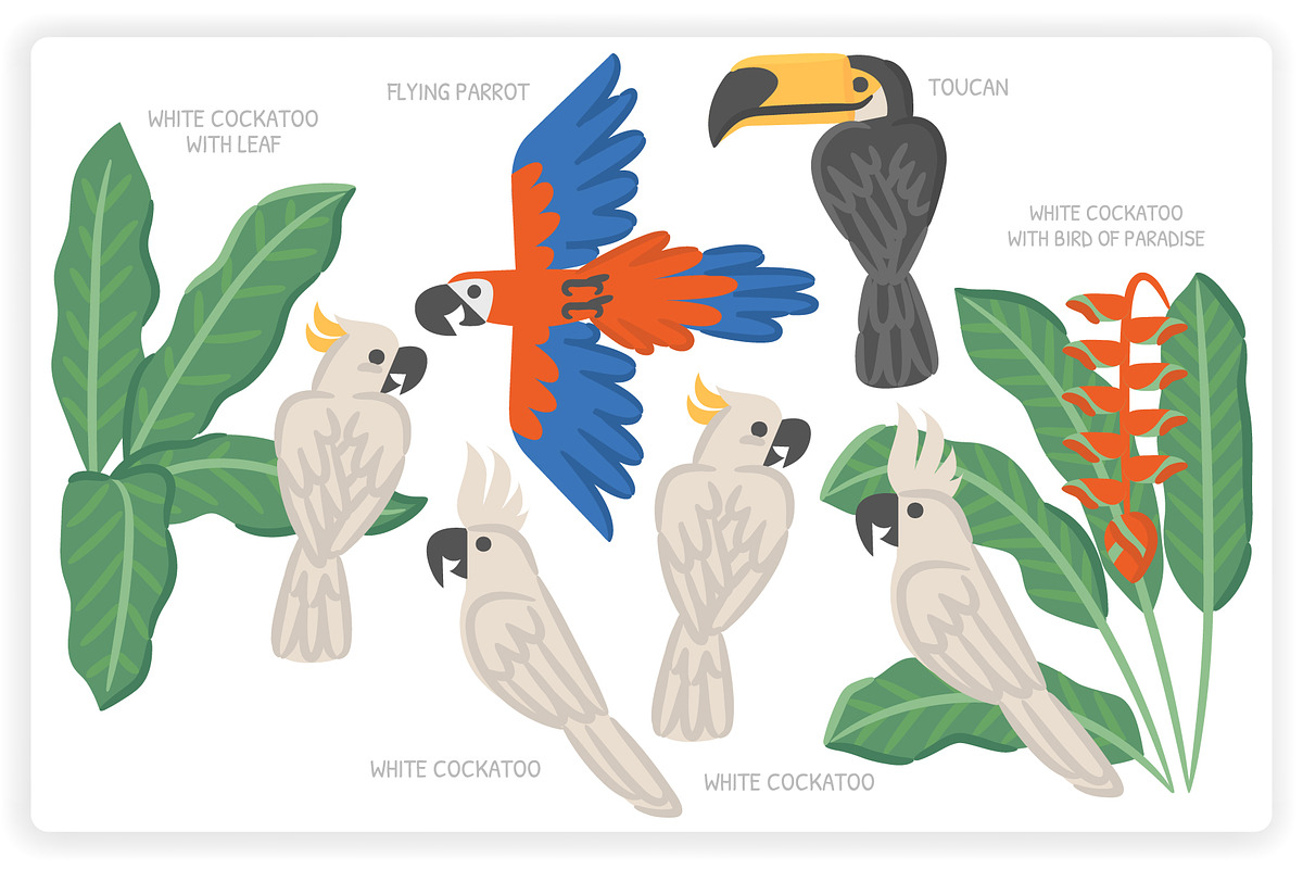 36 Tropical Elements + 12 Patterns, an Object Graphic by monkik (Photo 7 of 11)