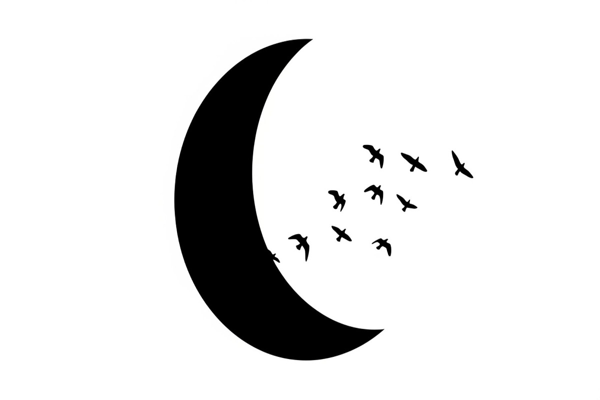 Flying Birds Moon SVG Bundle, an Illustration by yasushie (Photo 21 of 31)