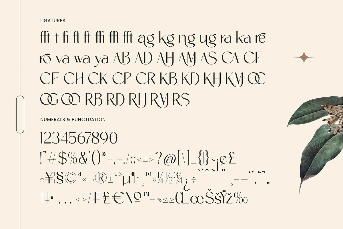 Amira Monte Elegant Display Font, a Sans Serif Font by timelesstype.co (Photo 18 of 20)