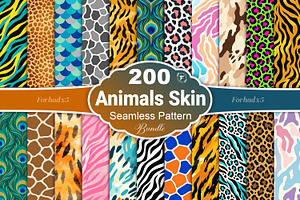 Animals Skin Pattern