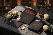 Cedu | A Modern Luxury Serif, a Serif Font by Astuti Studio (Thumbnail 14 of 25)