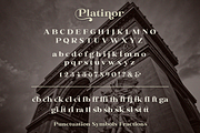 Platinor, a Serif Font by Larin Type Co. (Thumbnail 12 of 13)