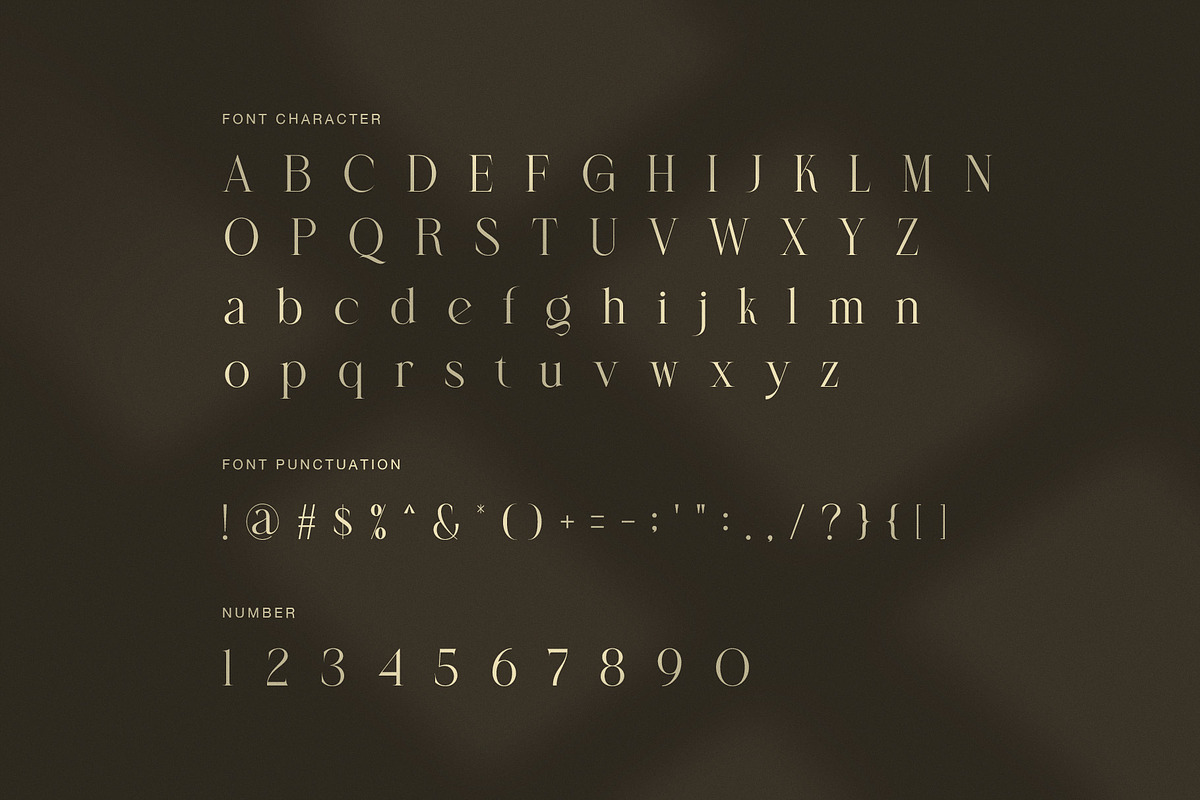 Delove Elegant Luxury Serif Font, a Serif Font by Graphicxell (Photo 7 of 8)