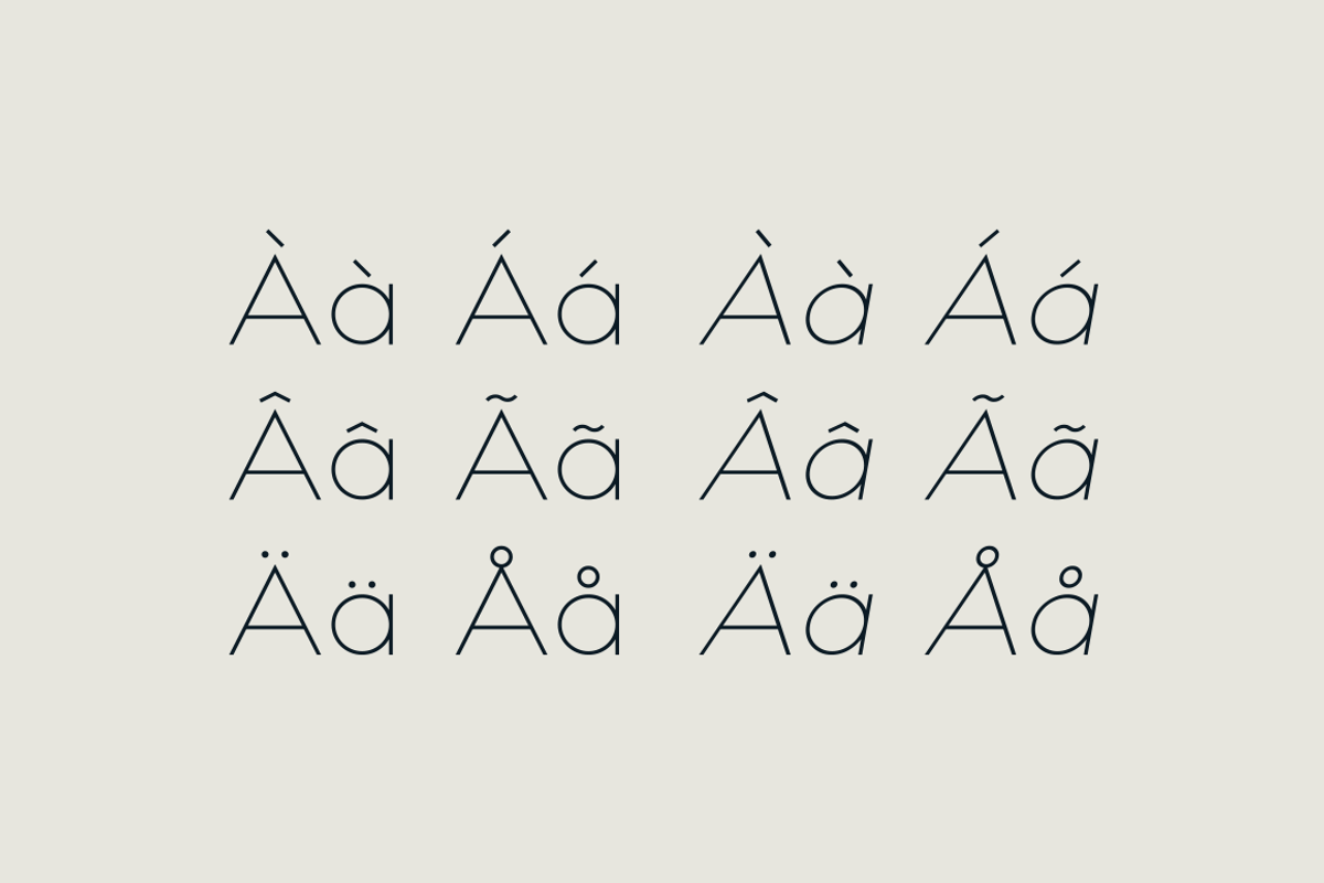 HAUS Sans Light preview 4
