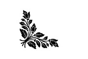 Floral Corner Ornament Vector Bundle, an Illustration by Designs_River (Thumbnail 11 of 51)