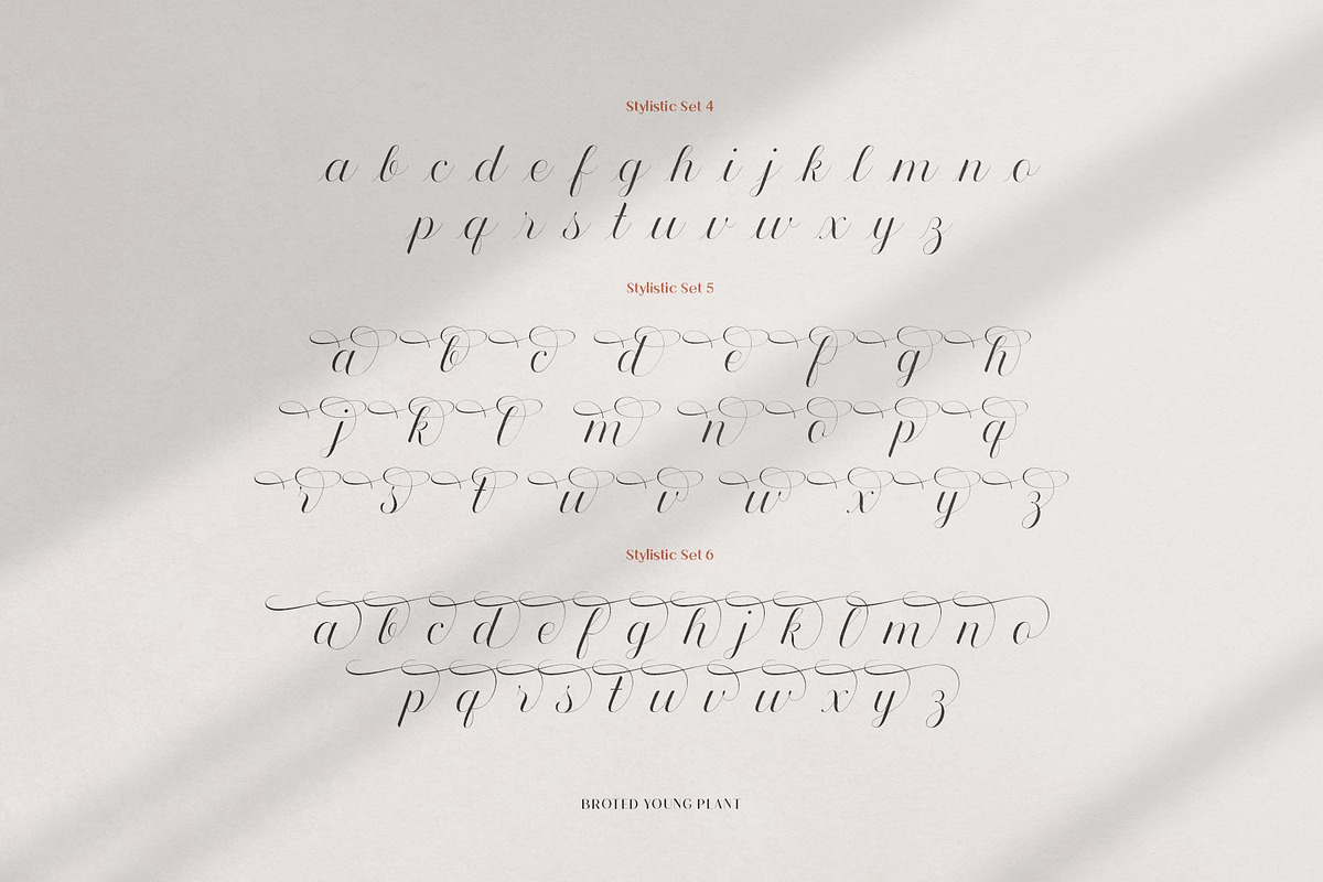 Broted Young Plant Font Duo, a Sans Serif Font by alit design (Photo 8 of 20)