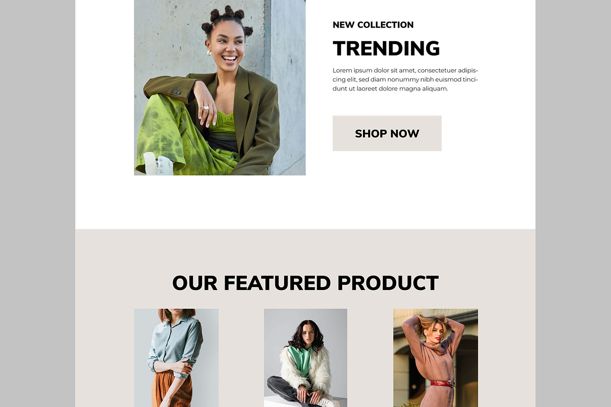 Fashion Landing Page Template, an UI Kit Template by CreativeShaper (Photo 4 of 6)