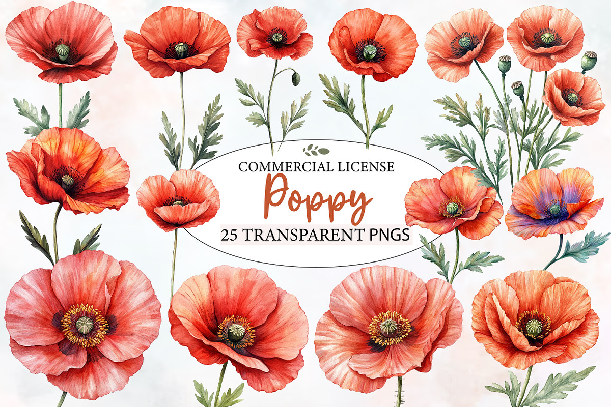 Poppy Flowers Clipart, an Illustration by Designworld (Photo 1 of 4)