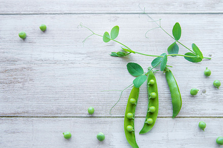 Green peas with leaves, a Food & Drink Photo by Olena Rudo